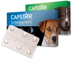 PetIQ CAPSTAR® (nitenpyram) Fast-Acting Oral Flea Treatment For Dogs