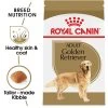 Royal Canin Breed Health Nutrition Golden Retriever Adult Dry Dog Food -Pet Shop 12172 1560195906