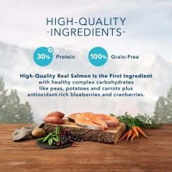 Blue Buffalo Wilderness Grain Free Salmon High Protein Recipe Dry Cat Food 10 Blue Buffalo Wilderness Grain Free Salmon High Protein Recipe Dry Cat Food -Pet Shop 29492 1555950852