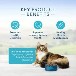 Blue Buffalo Sensitive Stomach Natural Chicken & Brown Rice Dry Cat Food 12 Blue Buffalo Sensitive Stomach Natural Chicken & Brown Rice Dry Cat Food -Pet Shop 30557 1555947008