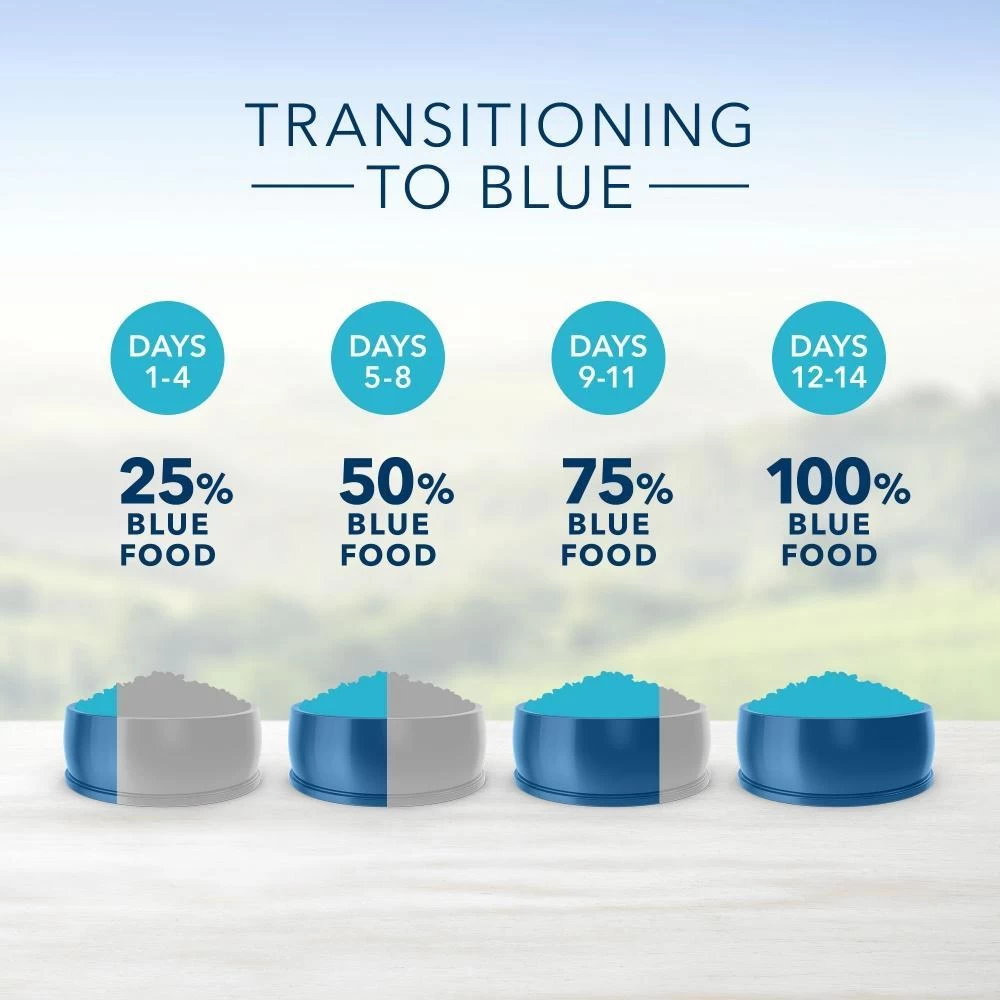 Blue Buffalo Sensitive Stomach Natural Chicken & Brown Rice Dry Cat Food 8 Blue Buffalo Sensitive Stomach Natural Chicken & Brown Rice Dry Cat Food - Image 6