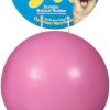 JW Pet Good Cuz Dog Toy 2 JW Pet Good Cuz Dog Toy -Pet Shop 30829 1450215233