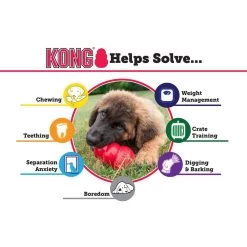 KONG Puppy Toy 11 KONG Puppy Toy -Pet Shop 30838 1568393939
