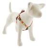 Lupine Pet Original Designs Step In Dog Harness -Pet Shop 31044 3