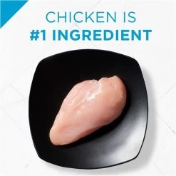 Purina Pro Plan Focus Weight Management Chicken & Rice Formula Dry Cat Food 11 Purina Pro Plan Focus Weight Management Chicken & Rice Formula Dry Cat Food -Pet Shop 31526 1555704909