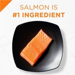 Purina Pro Plan Savor Adult Salmon & Rice Formula Dry Cat Food 13 Purina Pro Plan Savor Adult Salmon & Rice Formula Dry Cat Food -Pet Shop 31529 1555619657