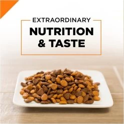 Purina Pro Plan Savor Adult Salmon & Rice Formula Dry Cat Food 14 Purina Pro Plan Savor Adult Salmon & Rice Formula Dry Cat Food -Pet Shop 31529 1555619673