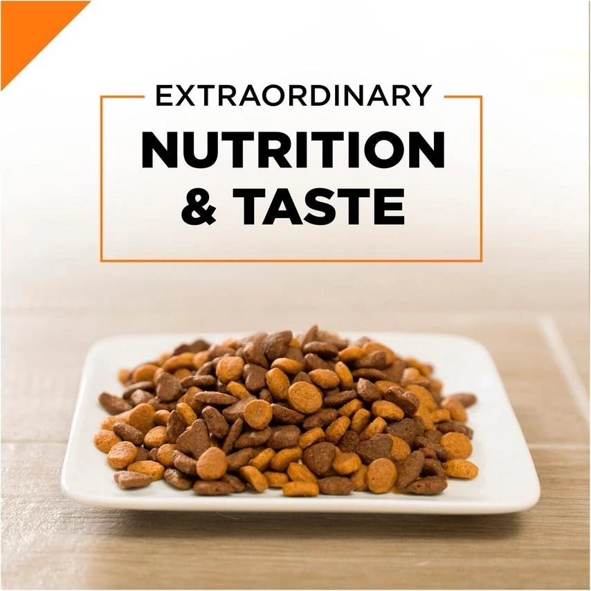 Purina Pro Plan Savor Adult Salmon & Rice Formula Dry Cat Food 8 Purina Pro Plan Savor Adult Salmon & Rice Formula Dry Cat Food - Image 6