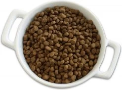Merrick Purrfect Bistro Grain Free Real Salmon & Sweet Potato Recipe Dry Cat Food -Pet Shop 33914 1569255208