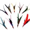 Go Cat Da Bird Feather Refill 1 Go Cat Da Bird Feather Refill -Pet Shop 342ac5 e01c15671fd94645816878943989610a