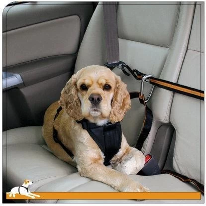 Kurgo Auto Zip Line Leash And Zip Line Combo 4 Kurgo Auto Zip Line Leash And Zip Line Combo - Image 2