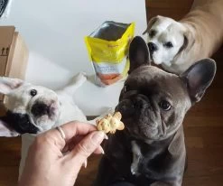 Grandma Lucy's Organic Oven Baked Banana And Sweet Potato Flavor Dog Treats -Pet Shop 36972 1581521219