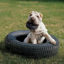 KONG Extreme Tires Dog Toy 6 KONG Extreme Tires Dog Toy -Pet Shop 38293 1568387843