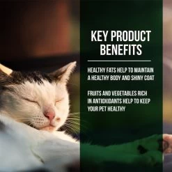 Fussie Cat Market Fresh Grain Free Salmon & Chicken Recipe Dry Cat Food 12 Fussie Cat Market Fresh Grain Free Salmon & Chicken Recipe Dry Cat Food -Pet Shop 39109 1576262512