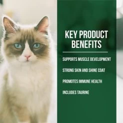 Fussie Cat Market Fresh Grain Free Salmon & Chicken Recipe Dry Cat Food 13 Fussie Cat Market Fresh Grain Free Salmon & Chicken Recipe Dry Cat Food -Pet Shop 39109 1576262529