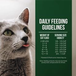 Fussie Cat Market Fresh Grain Free Salmon & Chicken Recipe Dry Cat Food 17 Fussie Cat Market Fresh Grain Free Salmon & Chicken Recipe Dry Cat Food -Pet Shop 39109 1576262582