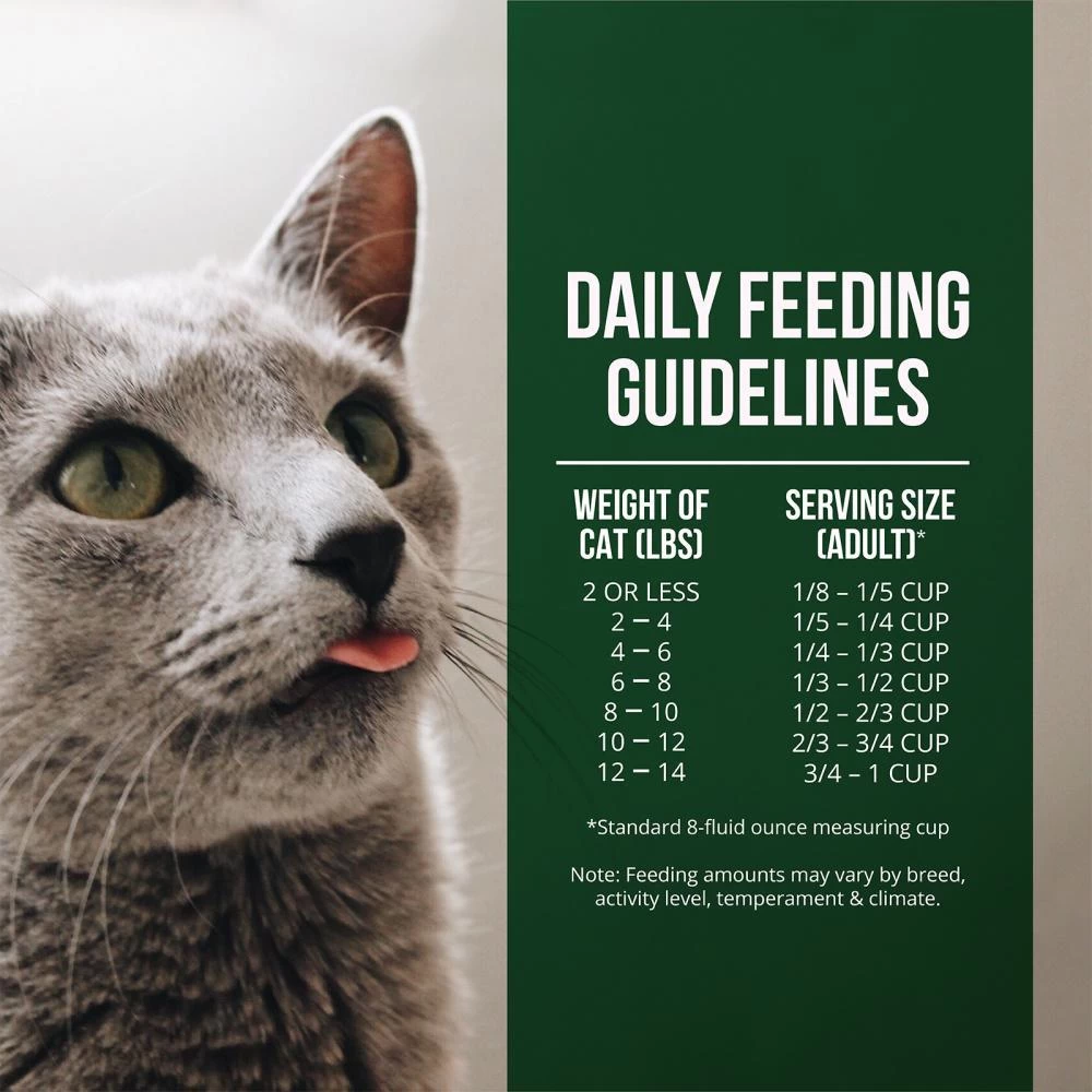 Fussie Cat Market Fresh Grain Free Salmon & Chicken Recipe Dry Cat Food 10 Fussie Cat Market Fresh Grain Free Salmon & Chicken Recipe Dry Cat Food - Image 8