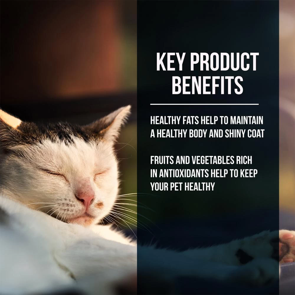 Fussie Cat Market Fresh Grain Free Salmon Recipe Dry Cat Food 5 Fussie Cat Market Fresh Grain Free Salmon Recipe Dry Cat Food - Image 3