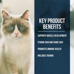 Fussie Cat Market Fresh Grain Free Salmon Recipe Dry Cat Food 14 Fussie Cat Market Fresh Grain Free Salmon Recipe Dry Cat Food -Pet Shop 39110 1576262947