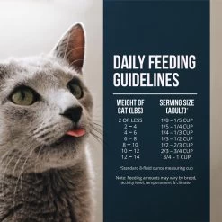 Fussie Cat Market Fresh Grain Free Salmon Recipe Dry Cat Food 19 Fussie Cat Market Fresh Grain Free Salmon Recipe Dry Cat Food -Pet Shop 39110 1576510817