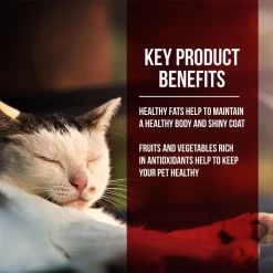 Fussie Cat Market Fresh Grain Free Chicken & Turkey Recipe Dry Cat Food -Pet Shop 39111 1576258972