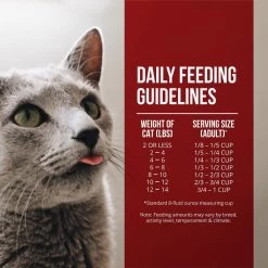 Fussie Cat Market Fresh Grain Free Chicken & Turkey Recipe Dry Cat Food -Pet Shop 39111 1576259038