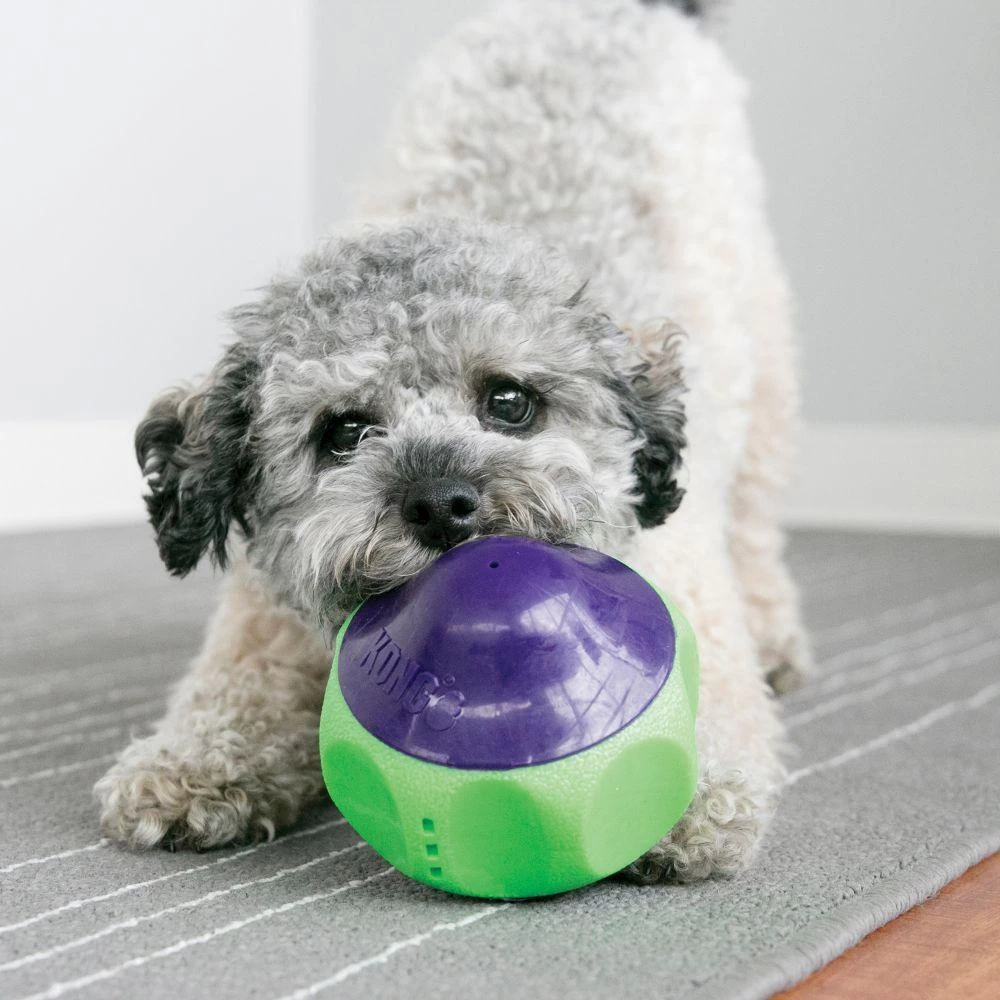 KONG Babbler Motion Activated Babbling Dog Toy 4 KONG Babbler Motion Activated Babbling Dog Toy - Image 2