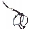 PetSafe Come With Me Kitty Black & Silver Harness And Bungee Leash For Cats 2 PetSafe Come With Me Kitty Black & Silver Harness And Bungee Leash For Cats -Pet Shop 42593 1538153399