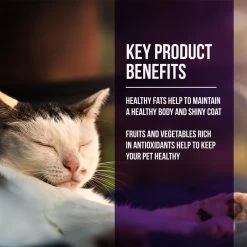 Fussie Cat Market Fresh Grain Free Quail & Duck Meal Recipe Dry Cat Food 12 Fussie Cat Market Fresh Grain Free Quail & Duck Meal Recipe Dry Cat Food -Pet Shop 43125 1576261219