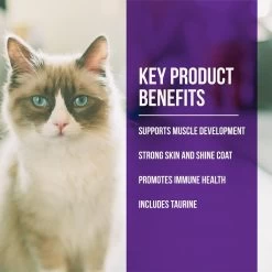 Fussie Cat Market Fresh Grain Free Quail & Duck Meal Recipe Dry Cat Food 13 Fussie Cat Market Fresh Grain Free Quail & Duck Meal Recipe Dry Cat Food -Pet Shop 43125 1576261232