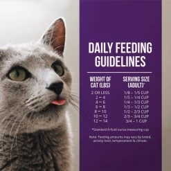 Fussie Cat Market Fresh Grain Free Quail & Duck Meal Recipe Dry Cat Food 17 Fussie Cat Market Fresh Grain Free Quail & Duck Meal Recipe Dry Cat Food -Pet Shop 43125 1576261374