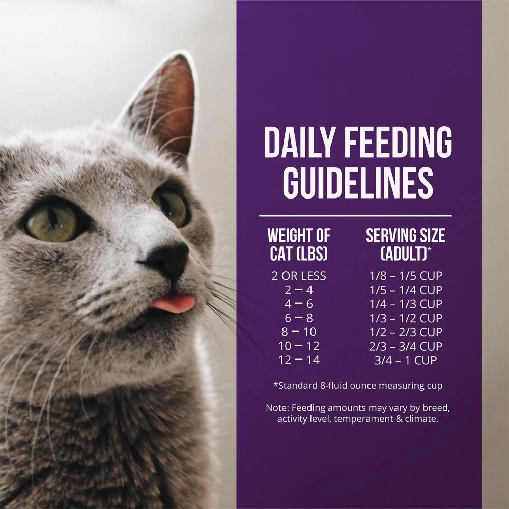 Fussie Cat Market Fresh Grain Free Quail & Duck Meal Recipe Dry Cat Food 10 Fussie Cat Market Fresh Grain Free Quail & Duck Meal Recipe Dry Cat Food - Image 8