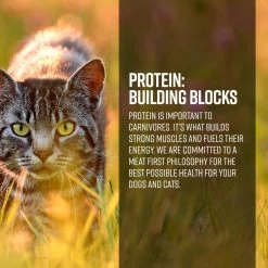 Essence Grain Free Ocean & Freshwater Recipe Dry Cat Food 9 Essence Grain Free Ocean & Freshwater Recipe Dry Cat Food -Pet Shop 43325 1576254806