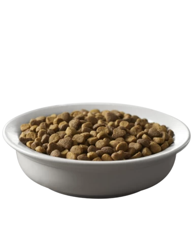 Purina Pro Plan Savor Salmon & Rice Formula Adult Dry Cat Food 4 Purina Pro Plan Savor Salmon & Rice Formula Adult Dry Cat Food - Image 2