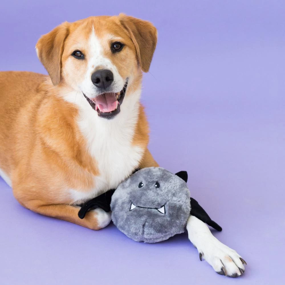 ZippyPaws Halloween Brainey Bat Plush Dog Toy 6 ZippyPaws Halloween Brainey Bat Plush Dog Toy - Image 4