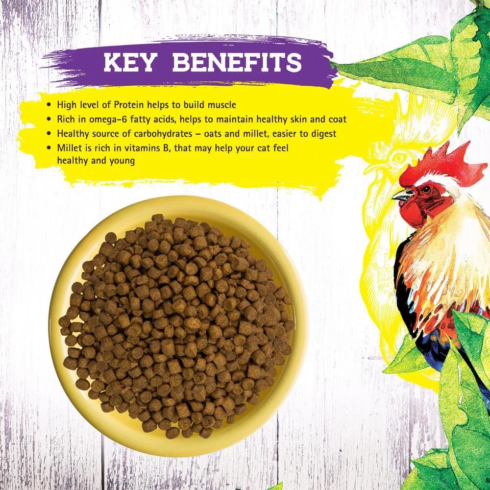 Inception Chicken Recipe Dry Cat Food 4 Inception Chicken Recipe Dry Cat Food - Image 2