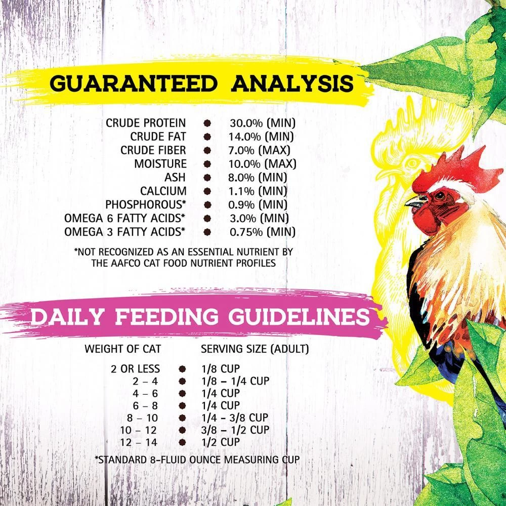 Inception Chicken Recipe Dry Cat Food 5 Inception Chicken Recipe Dry Cat Food - Image 3