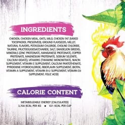 Inception Chicken Recipe Dry Cat Food 12 Inception Chicken Recipe Dry Cat Food -Pet Shop 43879 1576778519