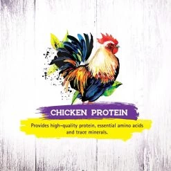 Inception Chicken Recipe Dry Cat Food 13 Inception Chicken Recipe Dry Cat Food -Pet Shop 43879 1576778535
