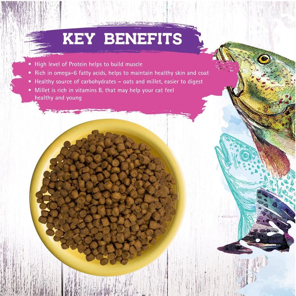 Inception Fish Recipe Dry Cat Food 4 Inception Fish Recipe Dry Cat Food - Image 2