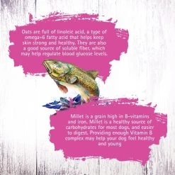 Inception Fish Recipe Dry Cat Food 12 Inception Fish Recipe Dry Cat Food -Pet Shop 43880 1576779831