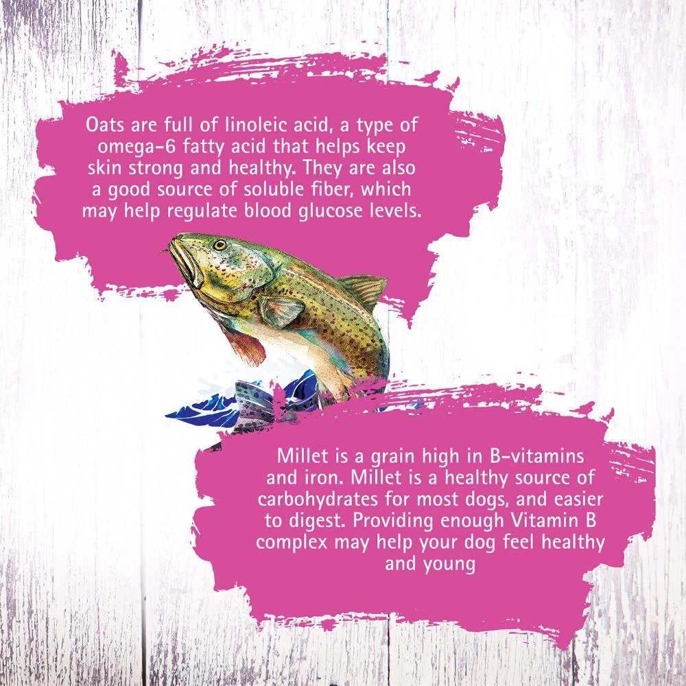 Inception Fish Recipe Dry Cat Food 7 Inception Fish Recipe Dry Cat Food - Image 5