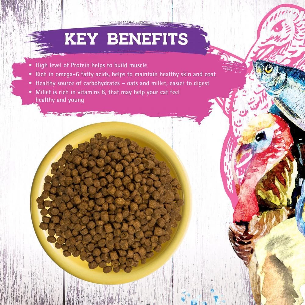 Inception Turkey & Herring Meal Recipe Dry Cat Food 4 Inception Turkey & Herring Meal Recipe Dry Cat Food - Image 2