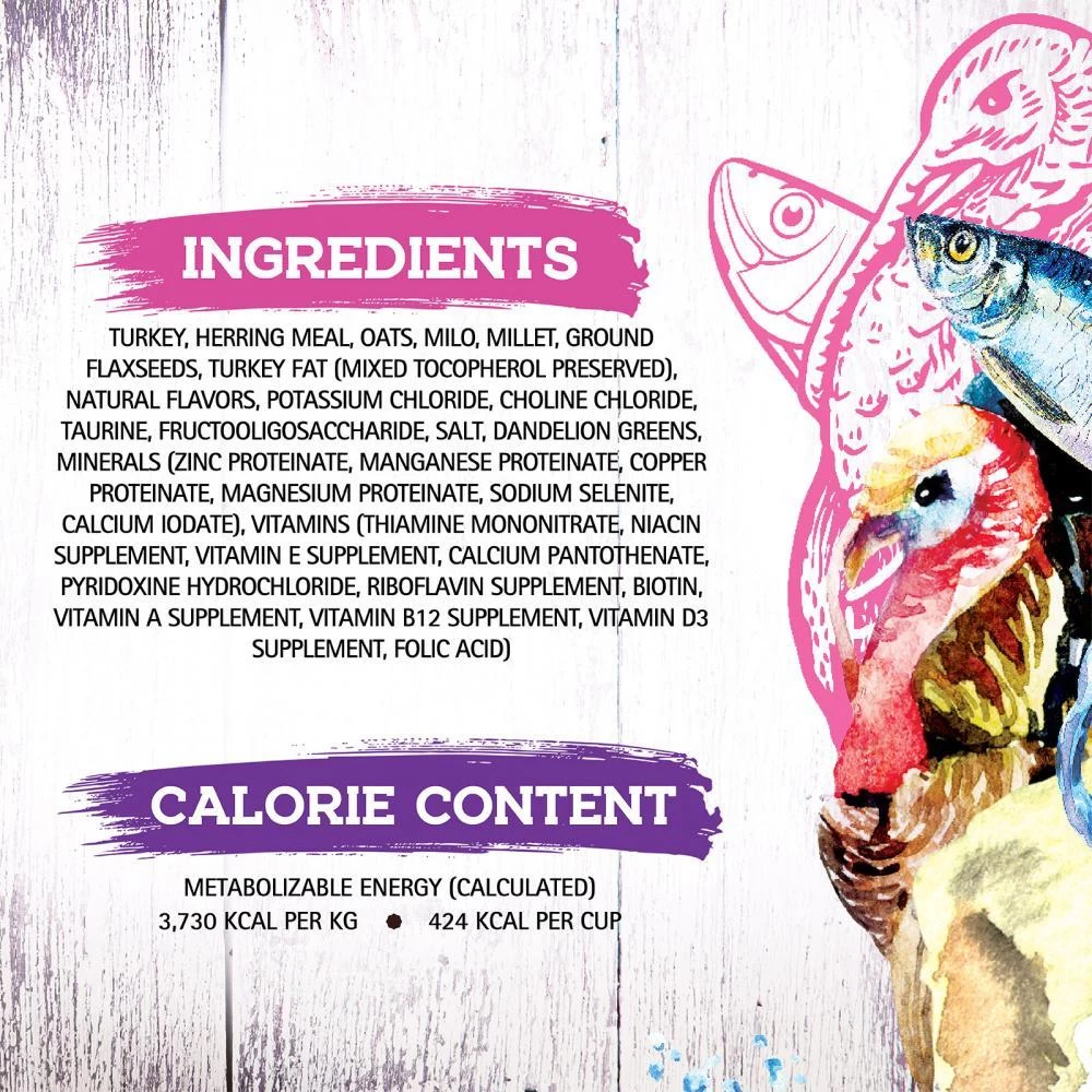 Inception Turkey & Herring Meal Recipe Dry Cat Food 6 Inception Turkey & Herring Meal Recipe Dry Cat Food - Image 4