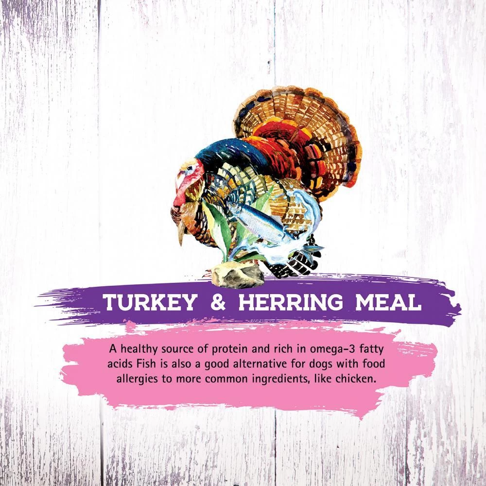Inception Turkey & Herring Meal Recipe Dry Cat Food 7 Inception Turkey & Herring Meal Recipe Dry Cat Food - Image 5