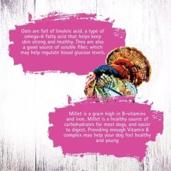 Inception Turkey & Herring Meal Recipe Dry Cat Food 14 Inception Turkey & Herring Meal Recipe Dry Cat Food -Pet Shop 43881 1576783847