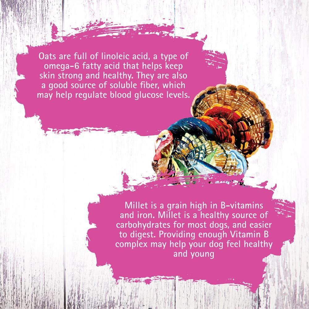 Inception Turkey & Herring Meal Recipe Dry Cat Food 8 Inception Turkey & Herring Meal Recipe Dry Cat Food - Image 6