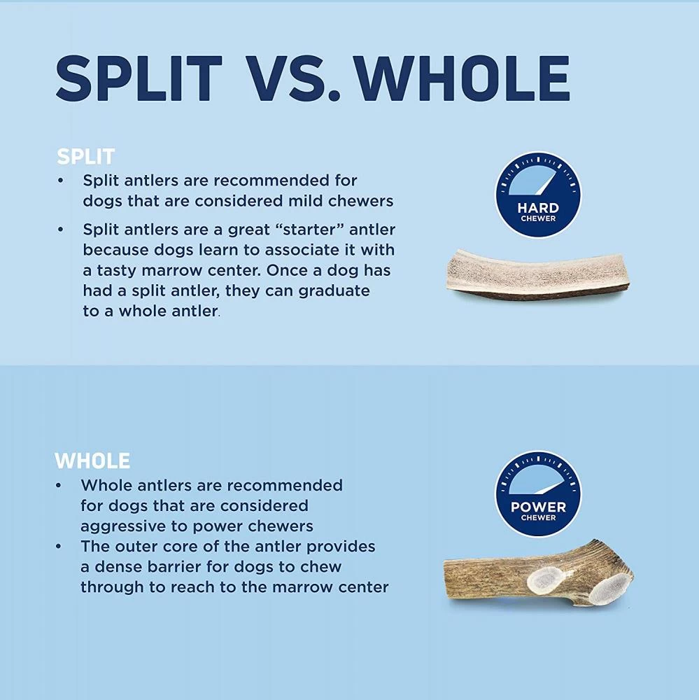 Barkworthies Split Elk Antler Dog Chew For Medium Breed Dogs 6 Barkworthies Split Elk Antler Dog Chew For Medium Breed Dogs - Image 4