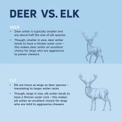 Barkworthies Split Elk Antler Dog Chew For Medium Breed Dogs 12 Barkworthies Split Elk Antler Dog Chew For Medium Breed Dogs -Pet Shop 43906 1577987288