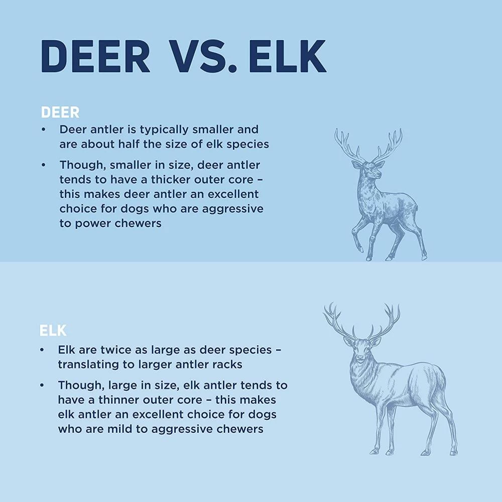 Barkworthies Split Elk Antler Dog Chew For Medium Breed Dogs 7 Barkworthies Split Elk Antler Dog Chew For Medium Breed Dogs - Image 5